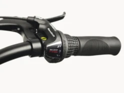 Front Page -Bike Gear World electra cruiser 7d step over tall 440161 1