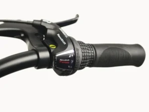 Front Page -Bike Gear World electra cruiser 7d step over tall 440161 1