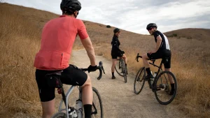 Front Page -Bike Gear World trek checkpoint alr 5 driftless 412321 1