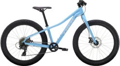 Trek Roscoe 24