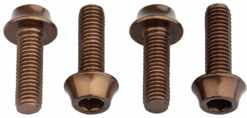 Wolf Tooth Water Bottle Cage Bolts -Bike Gear World wolf tooth water bottle cage bolts 410402 1
